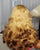 Blond bounce unit